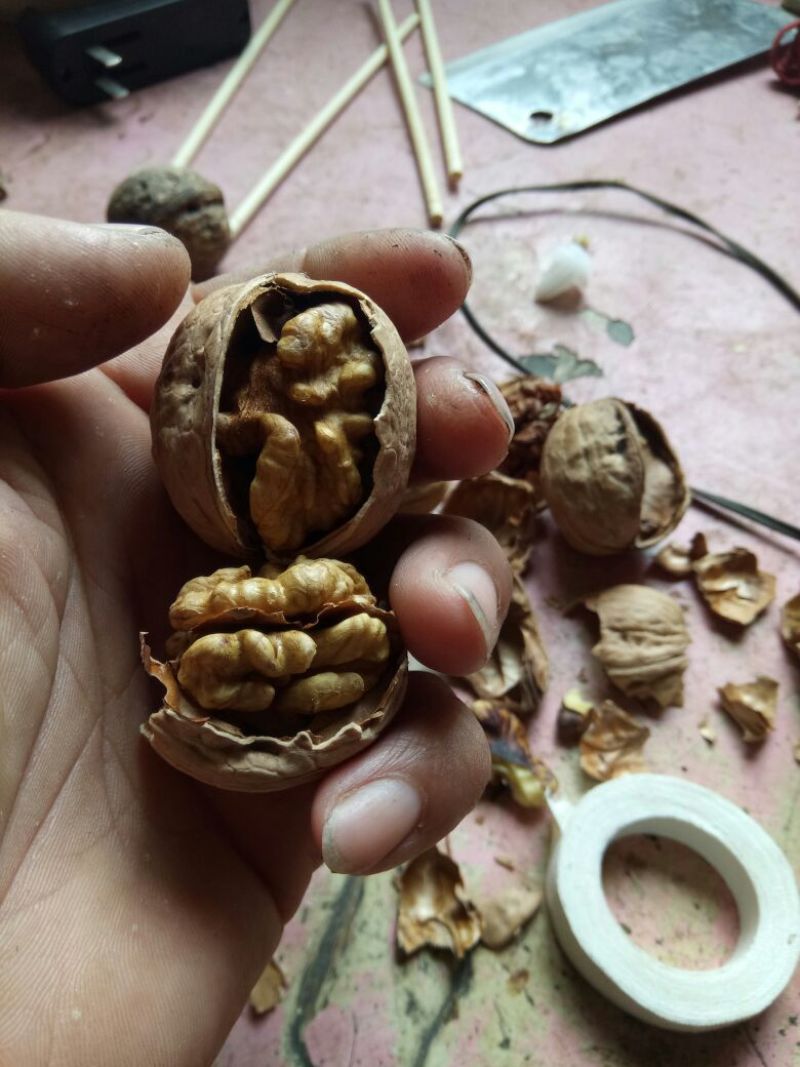 纸皮核桃去皮干