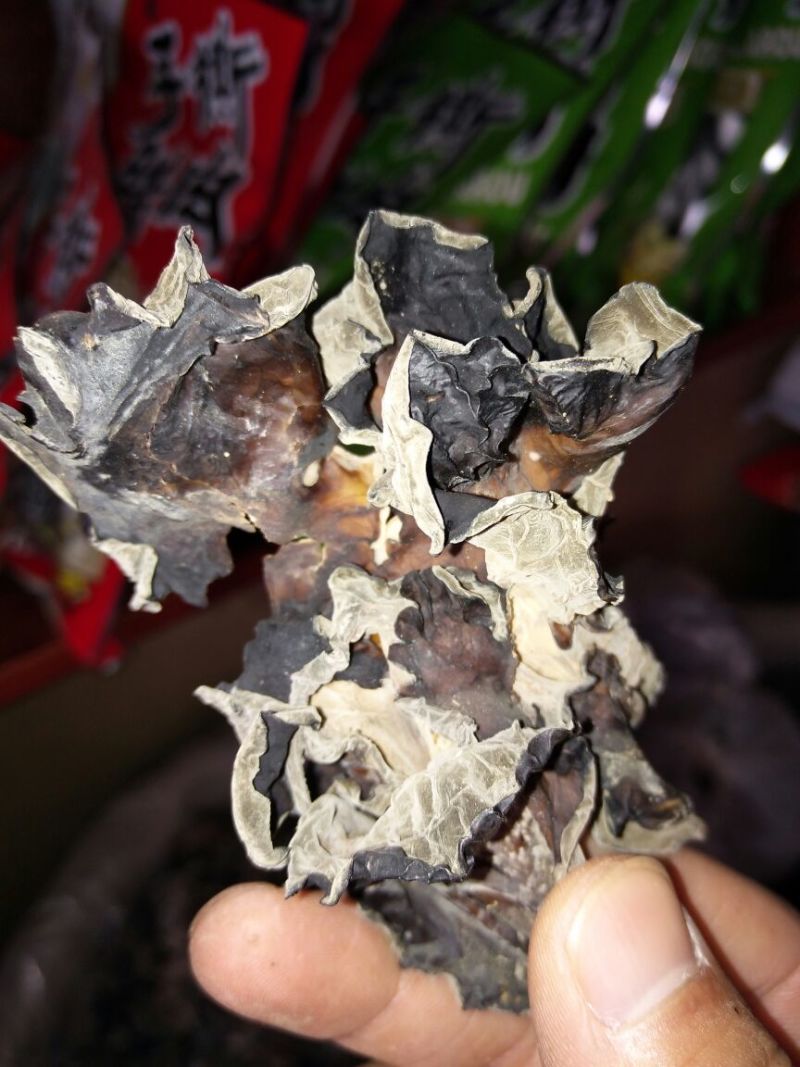 干木耳一级