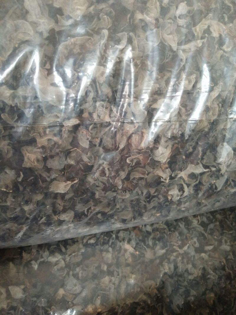 干木耳一级