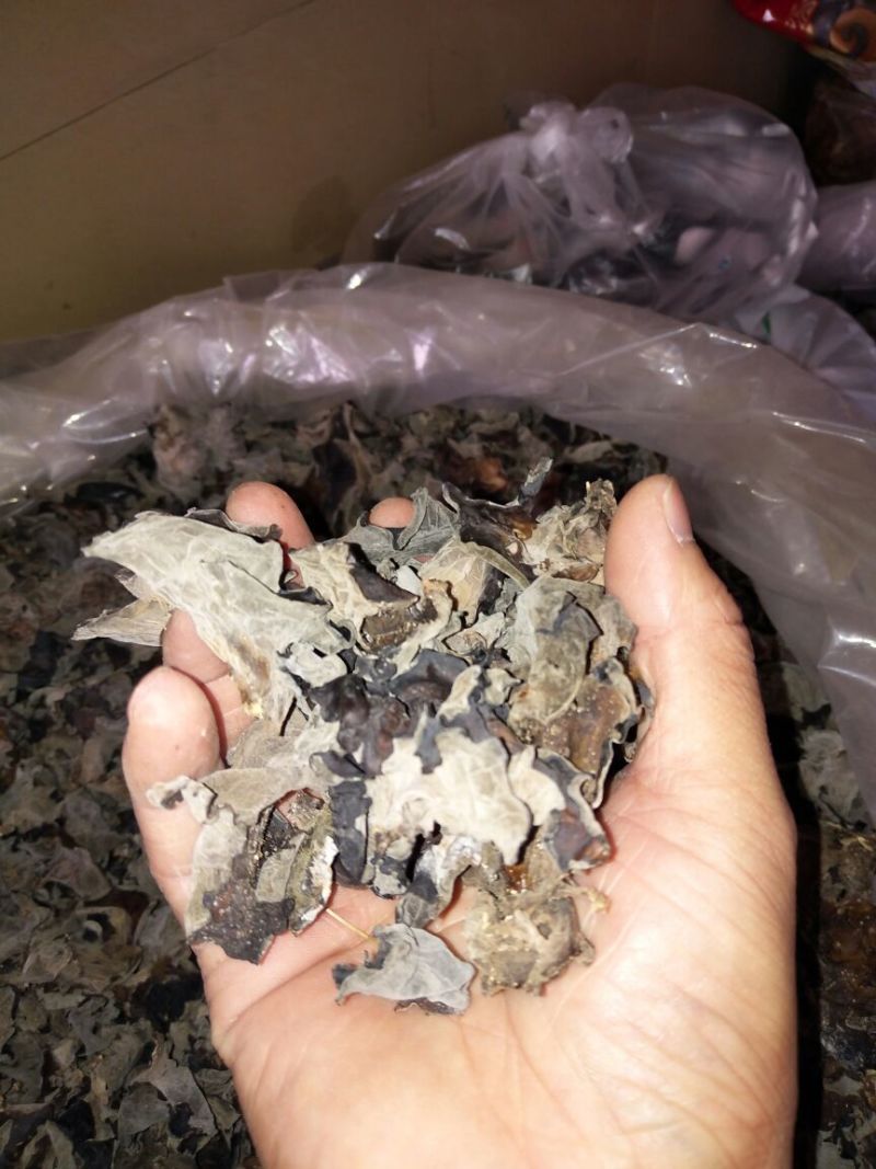 干木耳一级