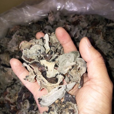 干木耳一级