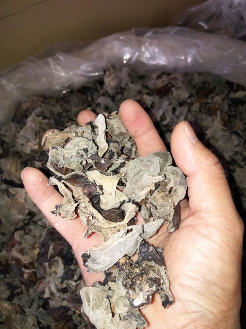 干木耳一级