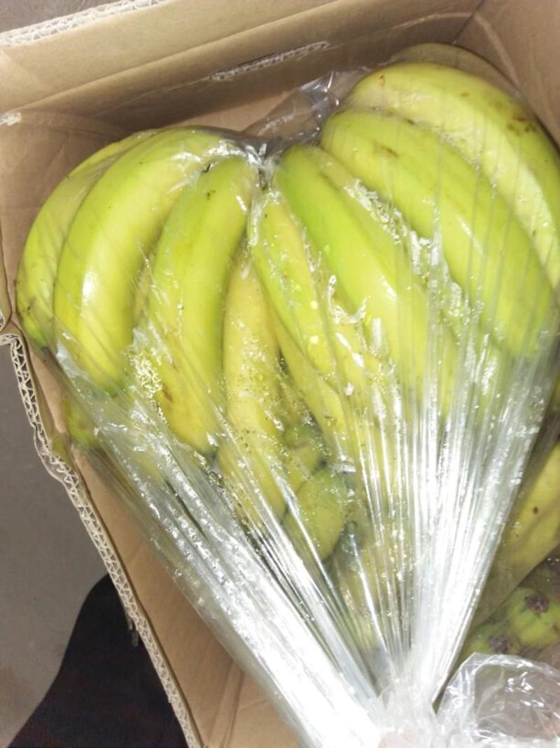 云南产地。高中低档都有。生黄香蕉有货。按需求发货