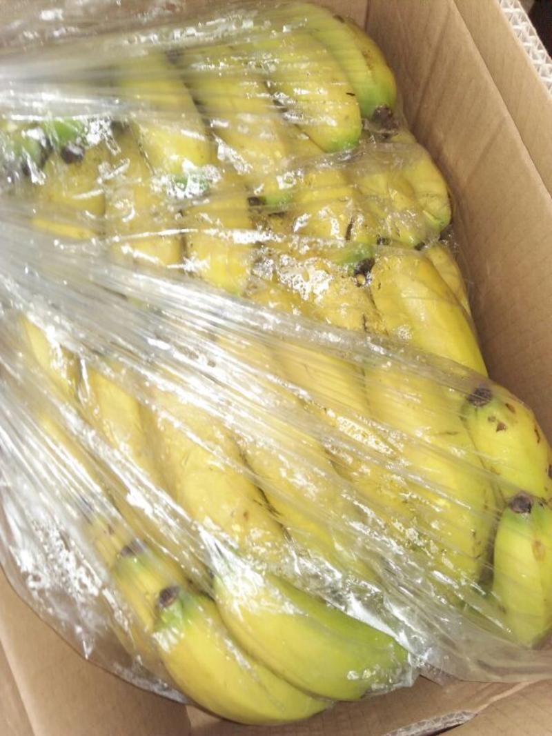 云南产地。高中低档都有。生黄香蕉有货。按需求发货