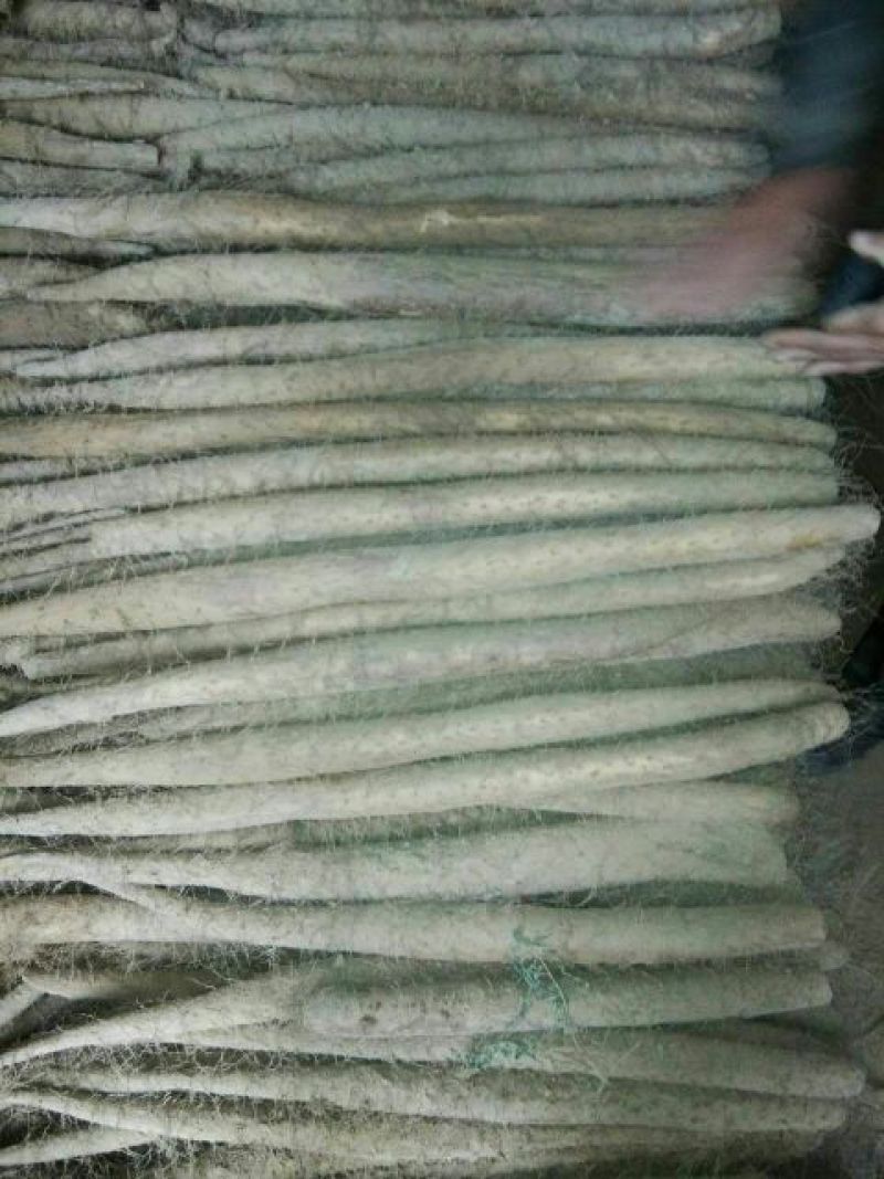 白玉山药2~3厘米特级通货30~40厘米