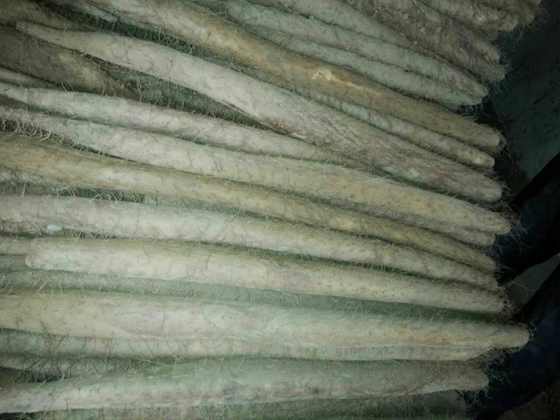 白玉山药2~3厘米特级通货30~40厘米