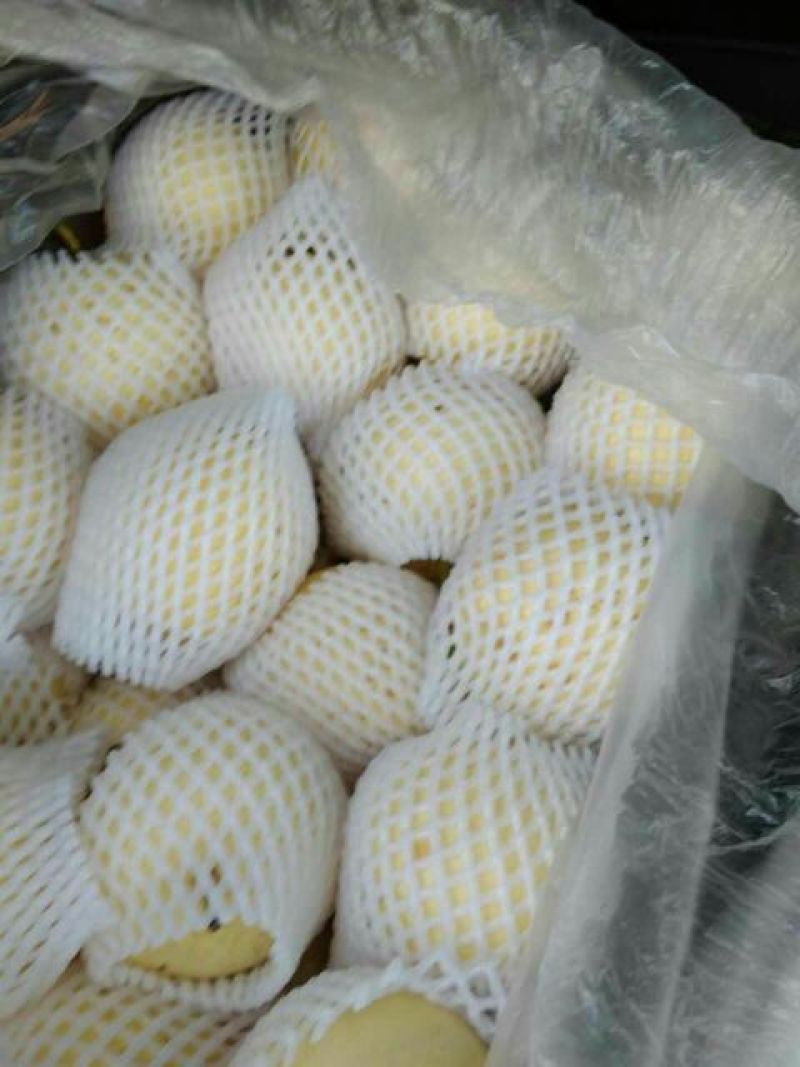 皇冠梨大量供应口感嘎嘎甜。随到随装。卖相好。一级二级都有