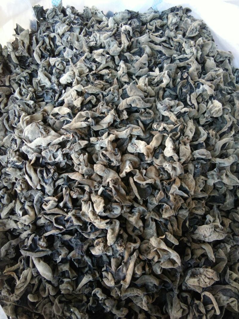 黑木耳一级