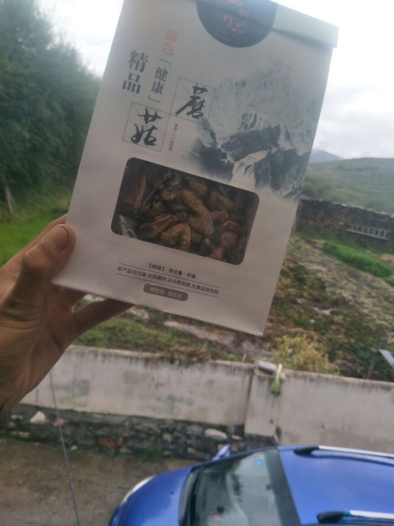 野蘑菇特级3cm