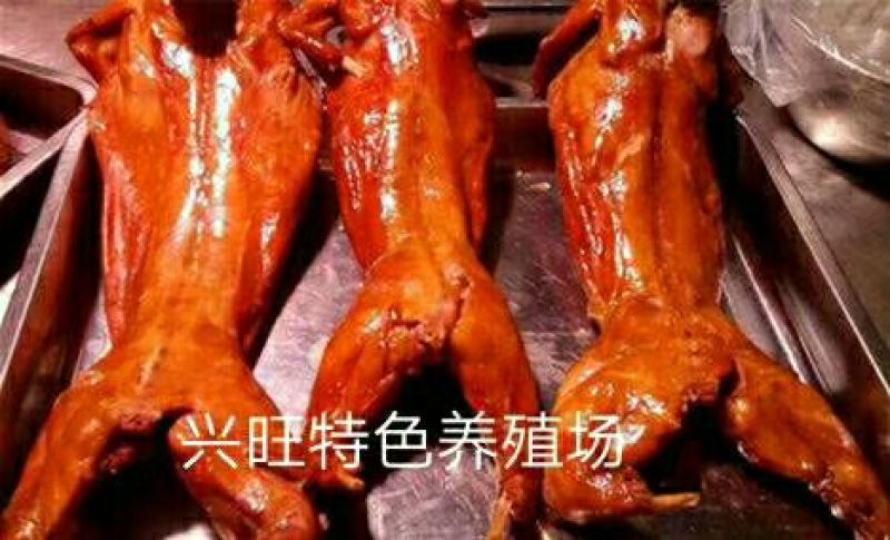 麻辣兔