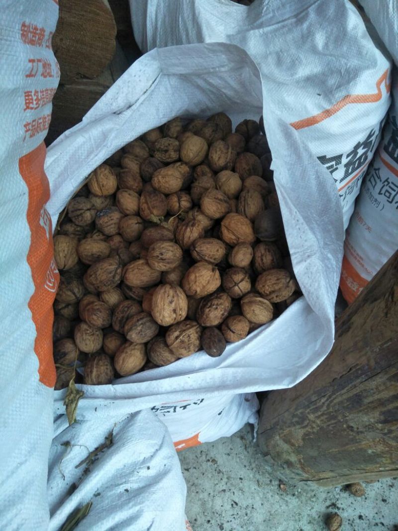 盐源早1号核桃去皮干