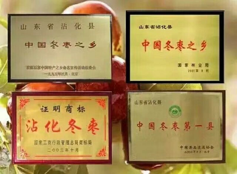 沾化冬枣直口