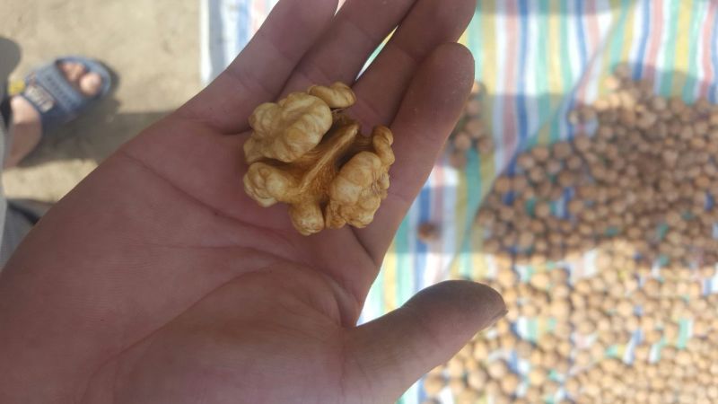 新新2号核桃箱装新货