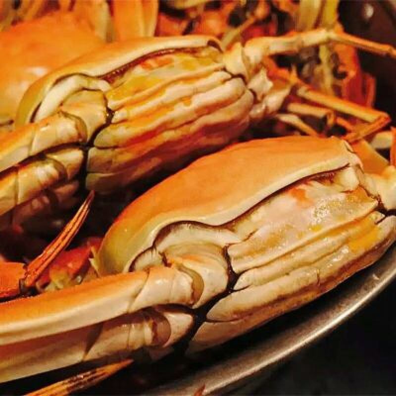 天津紫蟹食用3.0两(150g)/只雌