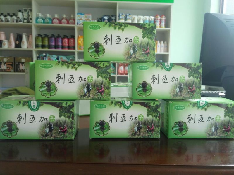 刺五加茶一级