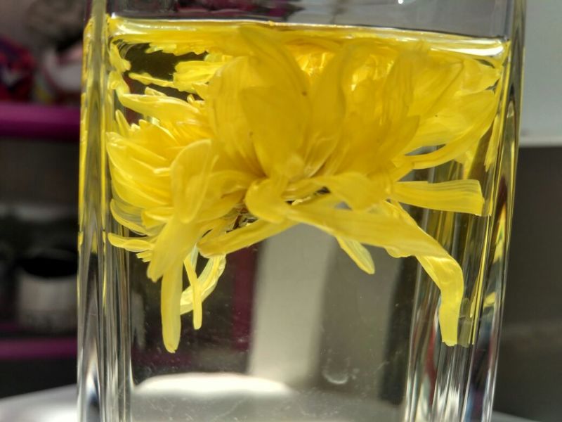 菊花茶特级