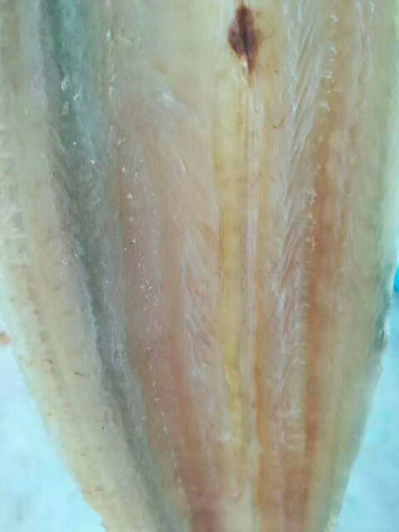 风干鱼
