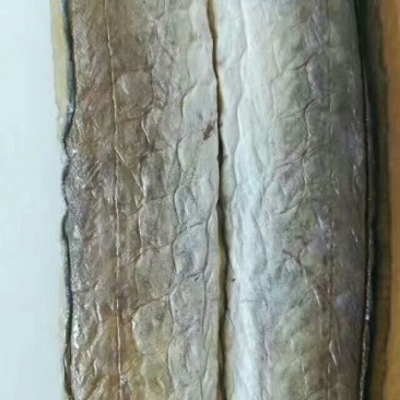 风干鱼