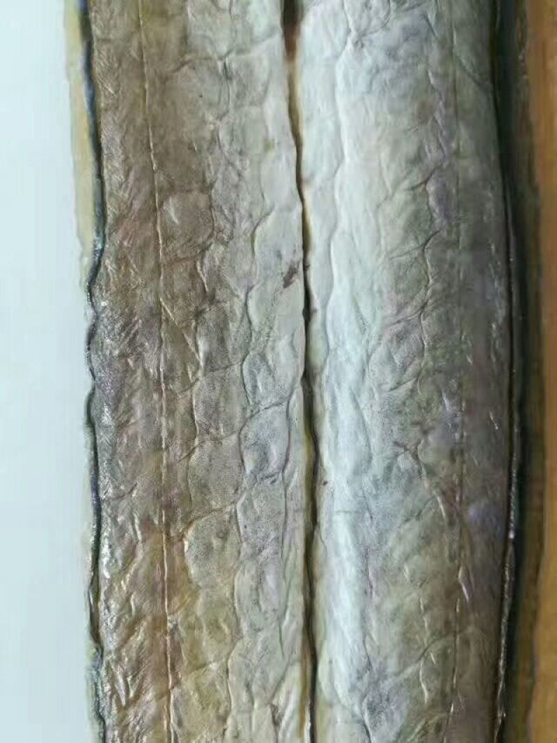 风干鱼