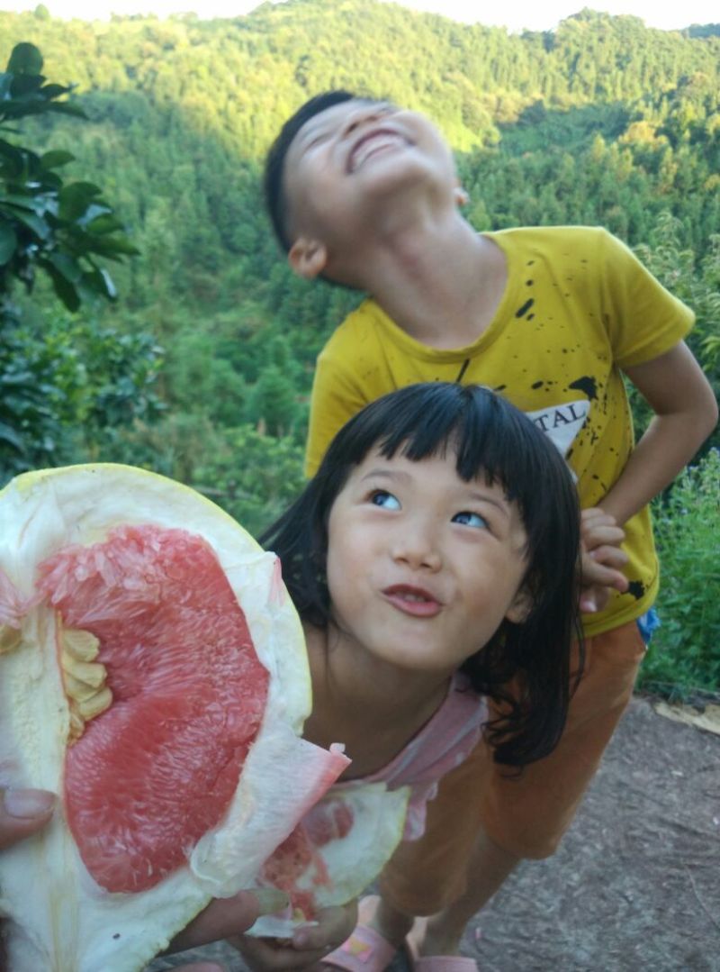 红心蜜柚2斤以上农家种植，皮薄水多，柔嫩无渣
