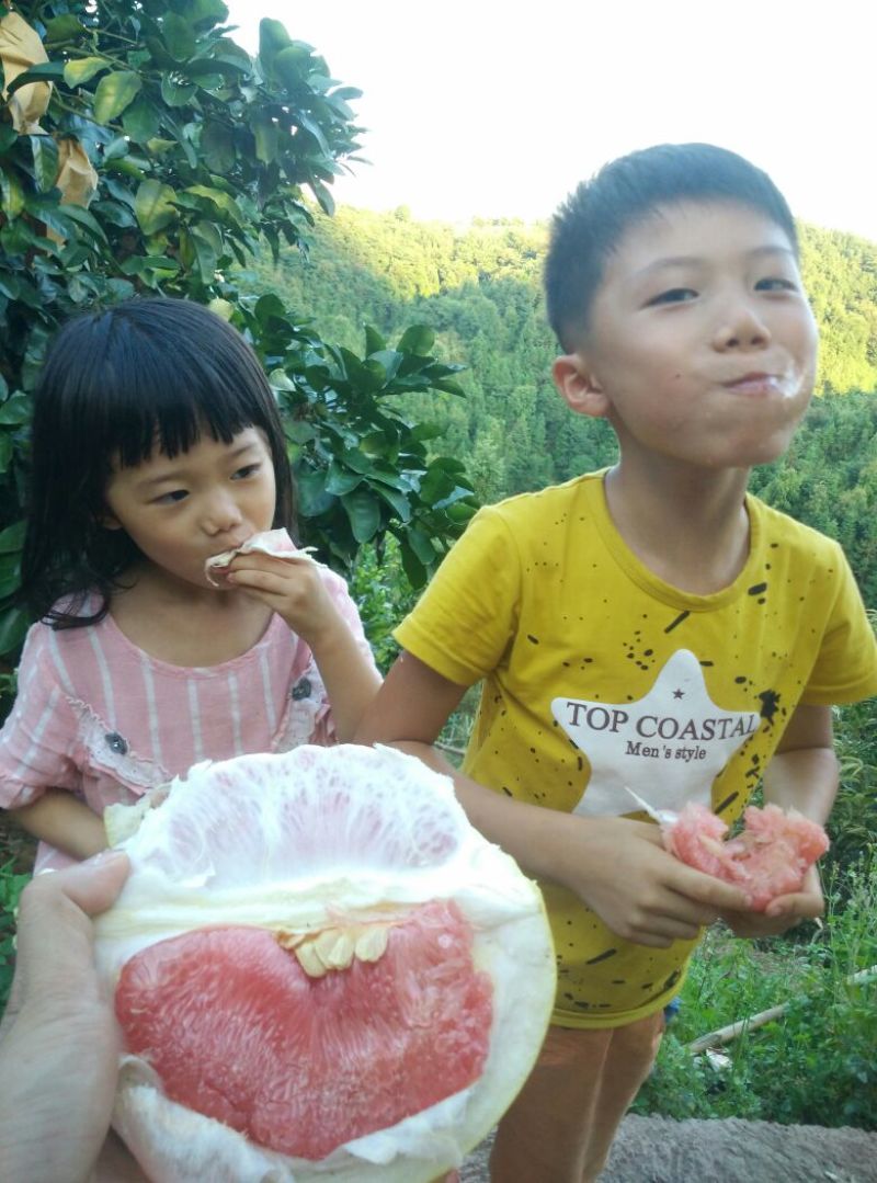红心蜜柚2斤以上农家种植，皮薄水多，柔嫩无渣