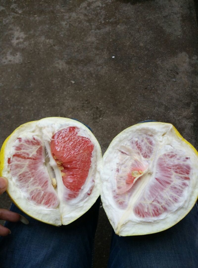 红心蜜柚2斤以上农家种植，皮薄水多，柔嫩无渣