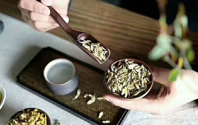 雁荡山铁皮石斛切片量大从优