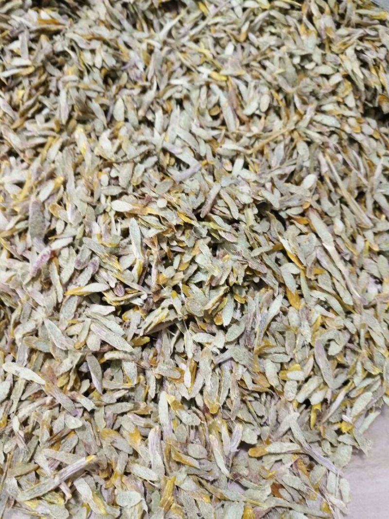 雁荡山铁皮石斛切片量大从优
