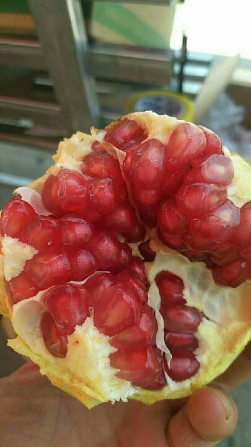 枣庄石榴3两~5两
