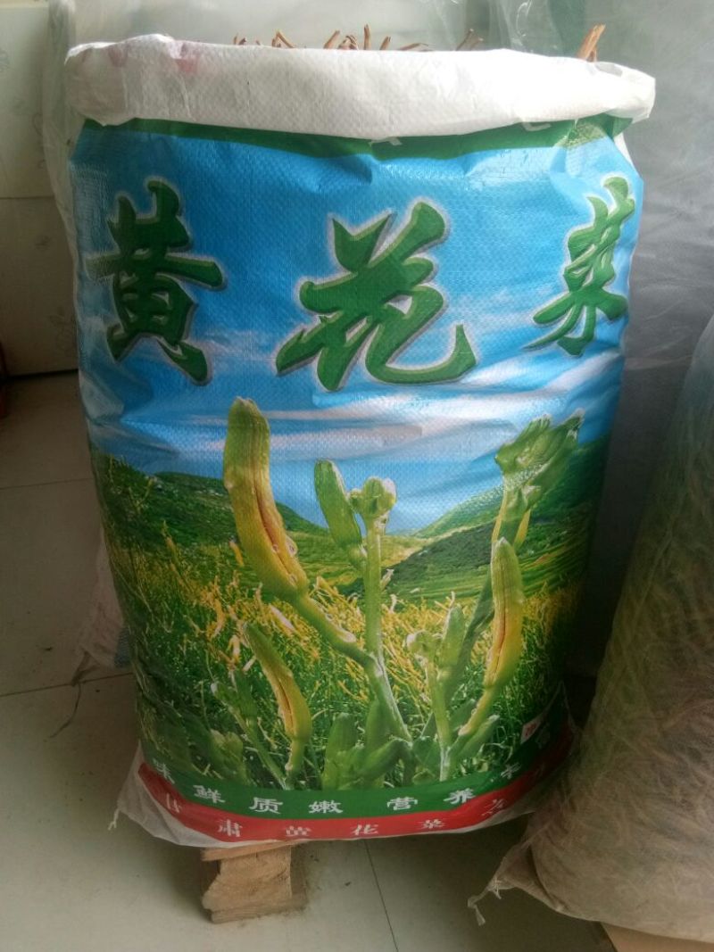 干黄菜