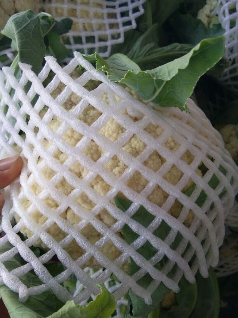 河南菜花基地适中乳白对接农户货源充足