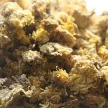 药用菊花散装