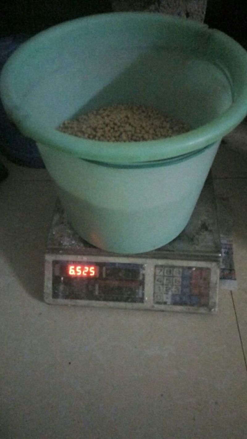 豆腐干豆腐