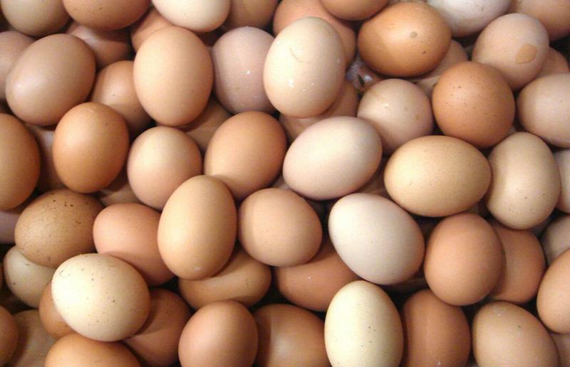 冠县《普通鸡蛋》大量供应鸡蛋一箱360枚