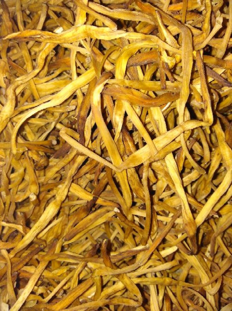 干黄菜