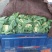 雪玉菜花！精品花菜！基地直供价格低