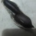 花生米黑花生米