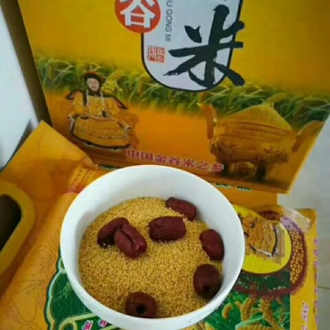 金谷米袋装了……