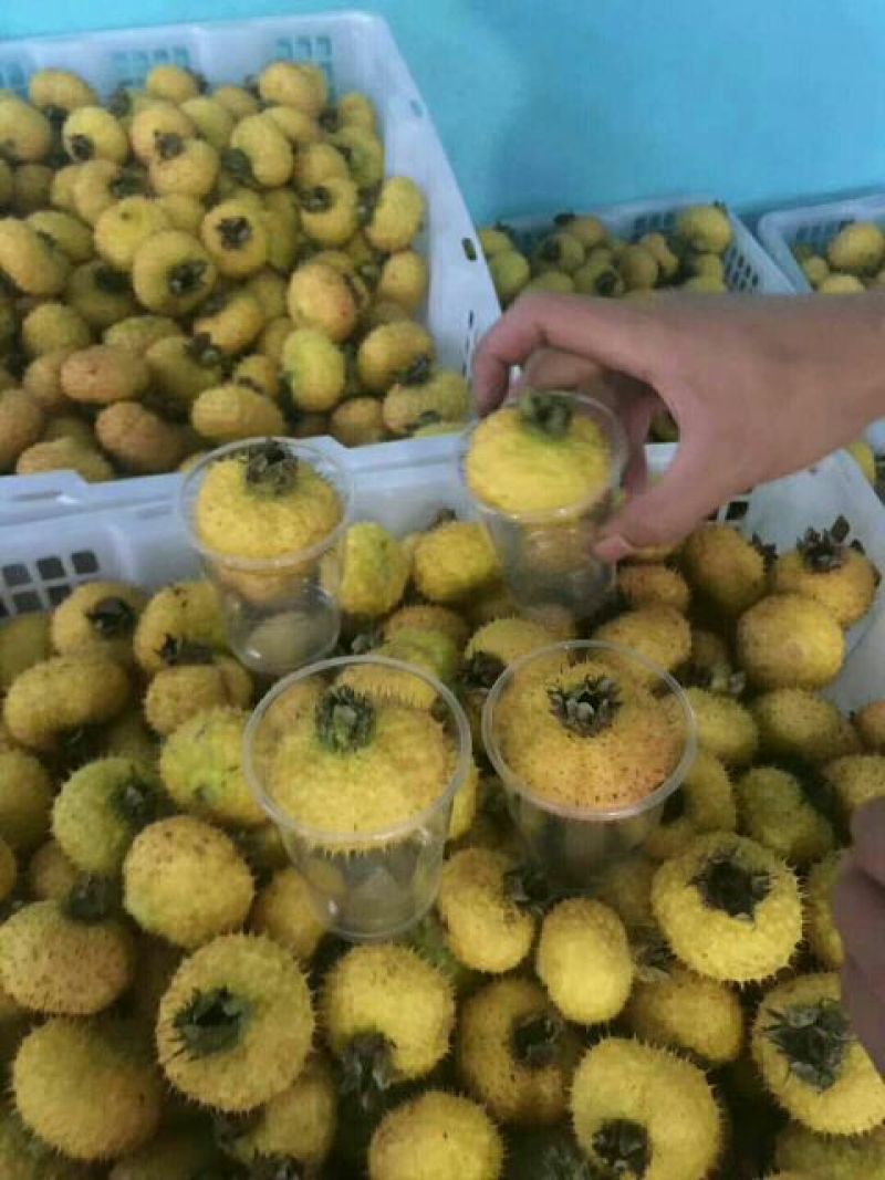 刺梨鲜