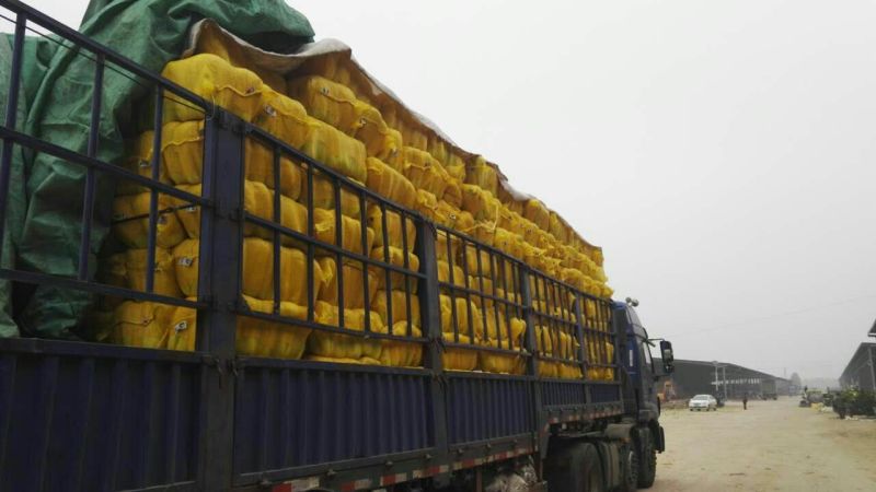 北京三号白菜包纸，精品打冷加工各种规格包装