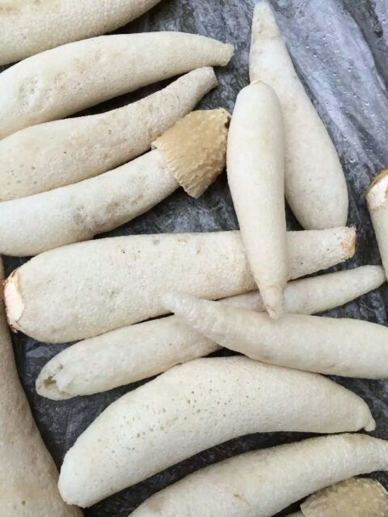 干竹荪一级