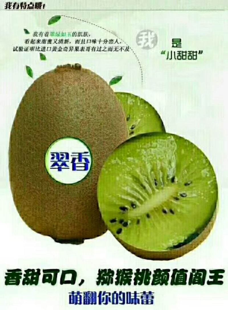猕猴桃70―200（包邮）
