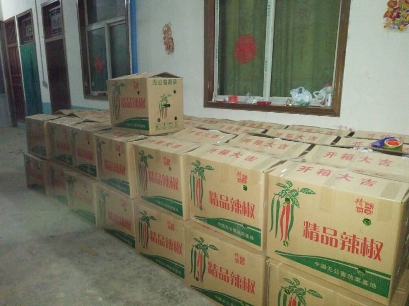 陕西渭南大荔鲜辣椒，产地直发，货源充足，量大从优可视频