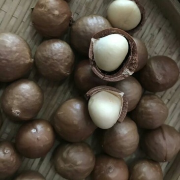 夏威夷果带壳
