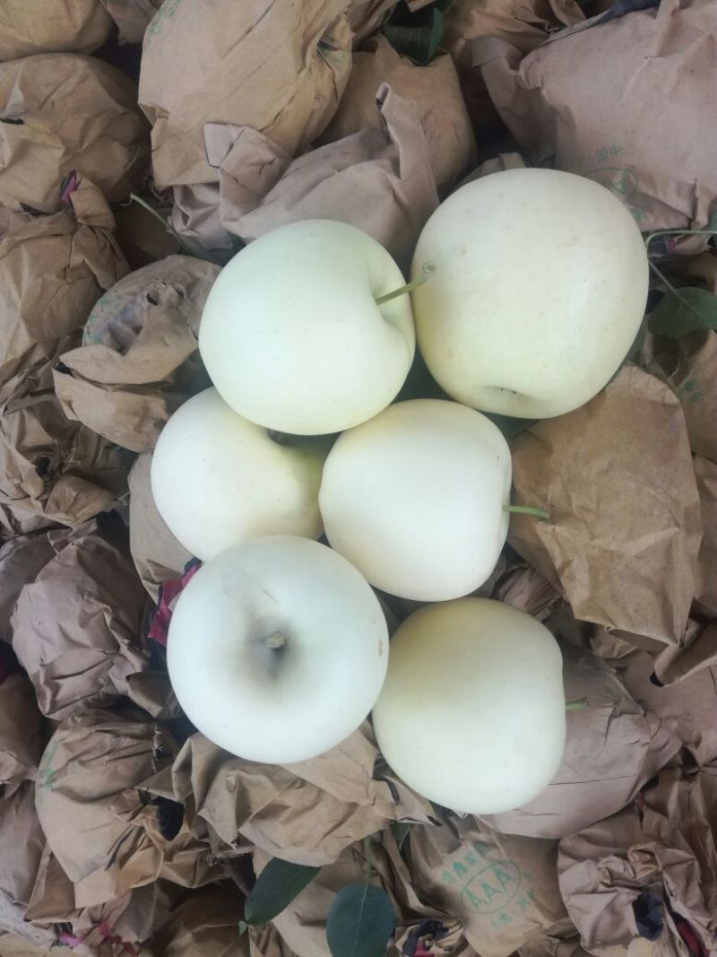 黄香蕉苹果纸袋