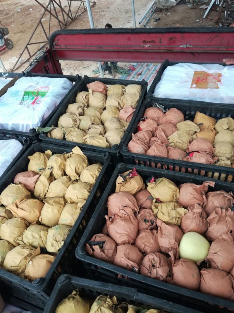 黄香蕉苹果纸袋
