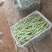 白条豆角20厘米以上
