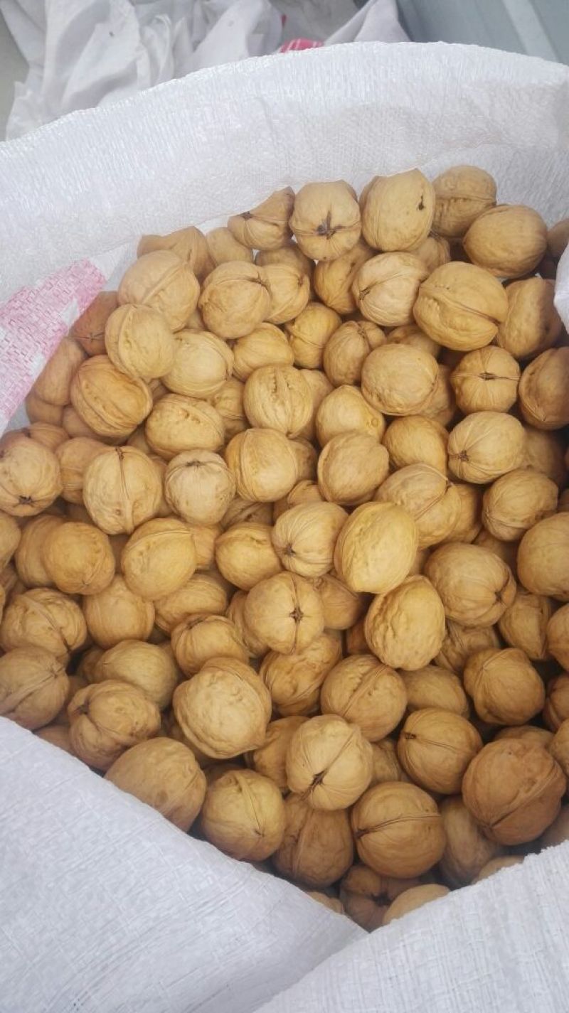 新疆185核桃25mm以上去皮干，阿克苏纸皮核桃