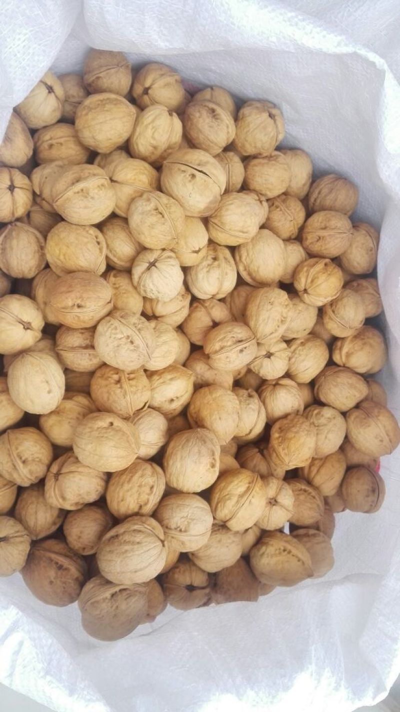 新疆185核桃25mm以上去皮干，阿克苏纸皮核桃