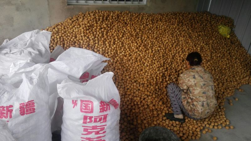 新疆185核桃25mm以上去皮干，阿克苏纸皮核桃